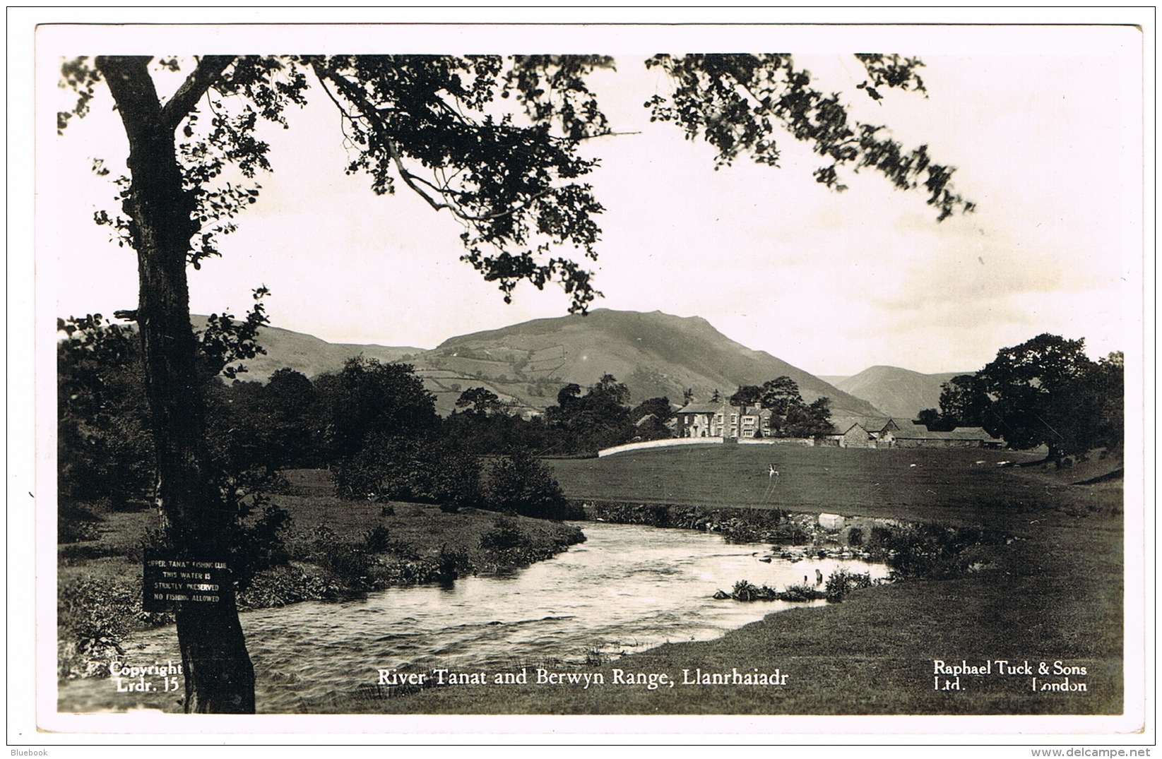 RB 1119 - Raphael Tuck Postcard - River Tanat &amp; Berwyn Range Llanrhaiadr - Denbighshire - No Fishing Sign - Denbighshire