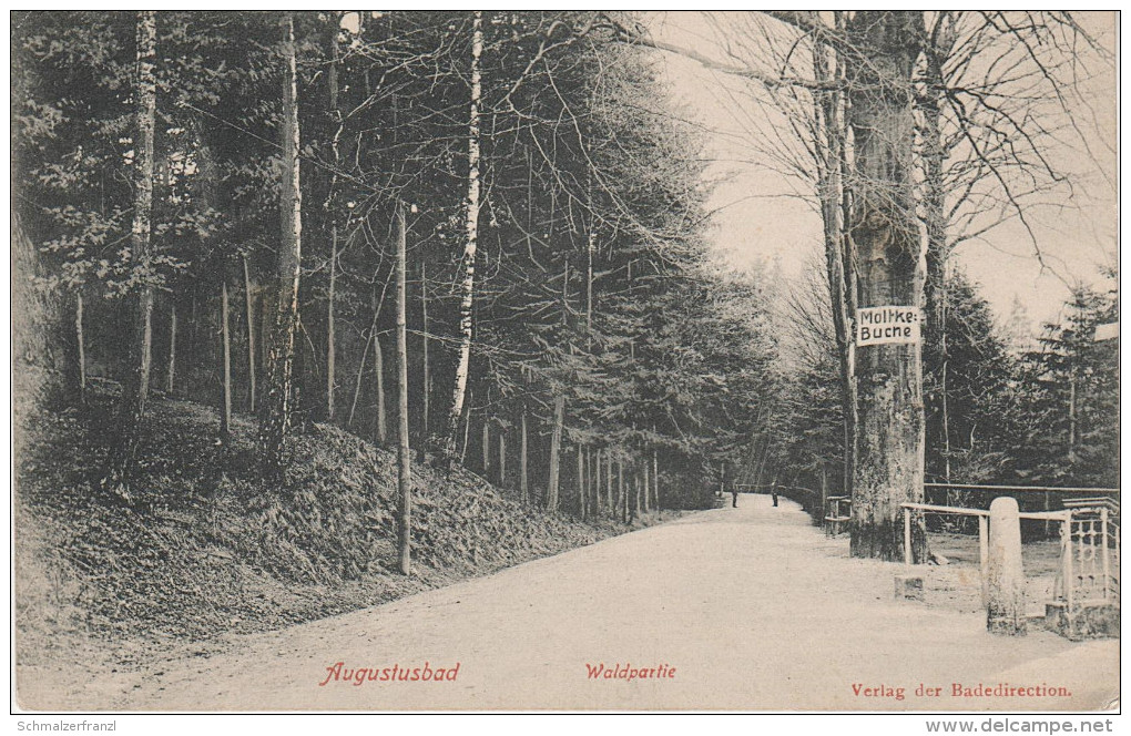 AK Augustusbad Waldpartie Moltkebuche Moltke Buche Bei Liegau Radeberg Langebrück Wacha Lotzdorf Ottendorf Dresden Heide - Radeberg