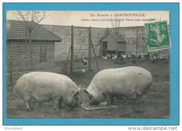 CPA La Ferme De SARTROUVILLE Le Repas Des Cochons 78 - Sartrouville