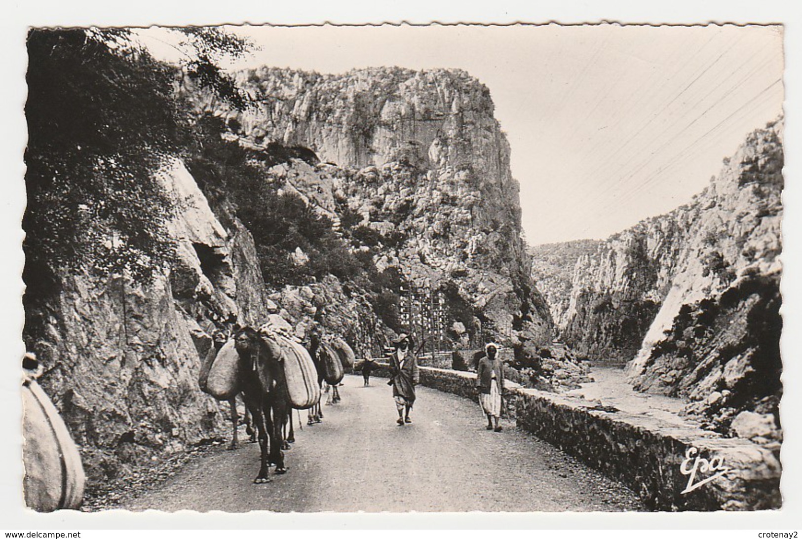Algérie En Kabylie Gorges De PALESTRO Aujourd'hui Lakhdaria N°17 Caravane En 1958 - Alger