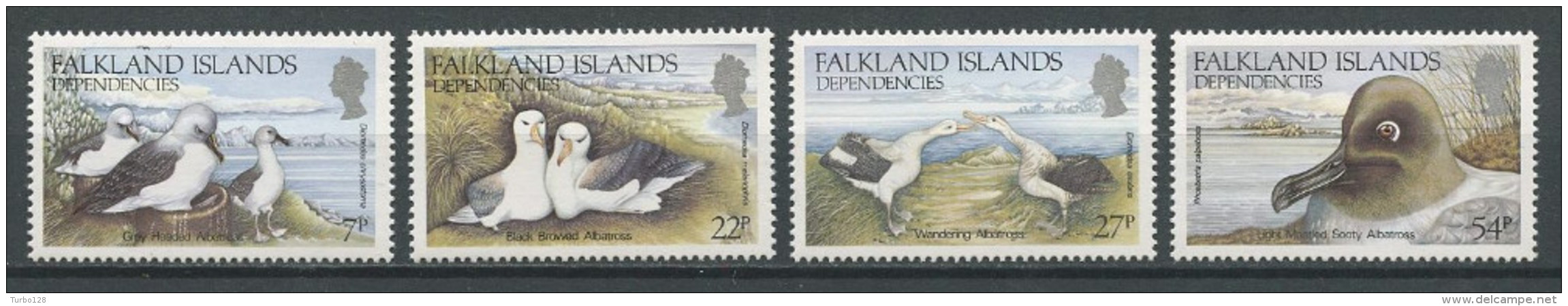 GEORGIE DU SUD (FALKLAND) 1985  N° 141/144 ** Neufs = MNH Superbes Cote 12,50 € Oiseaux Albatros Birds Animaux - Géorgie Du Sud