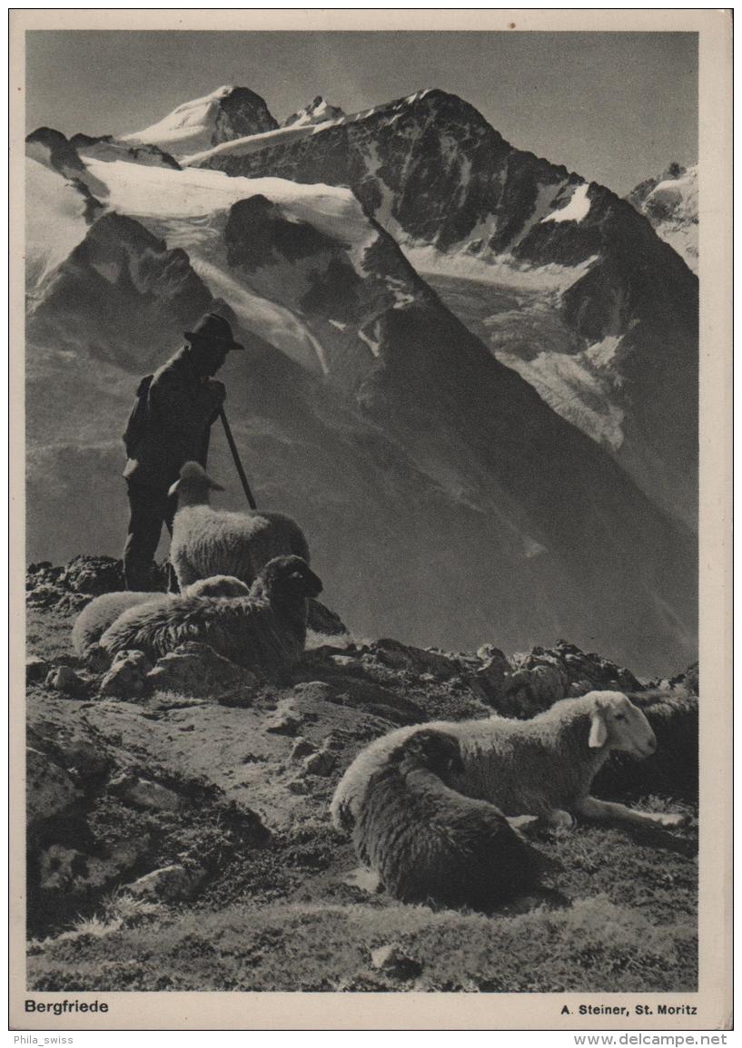 Bergfriede - Schafhirte Mit Schafe Vor Den Bündner-Alpen - Photo: A. Steiner St. Moritz - Autres & Non Classés