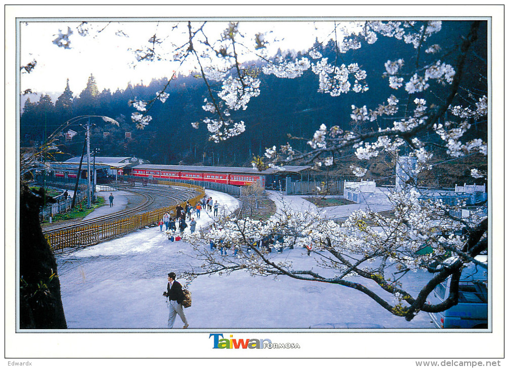 Railway Station, Mt Ali, Taiwan Postcard Posted 2009 Meter - Taiwan