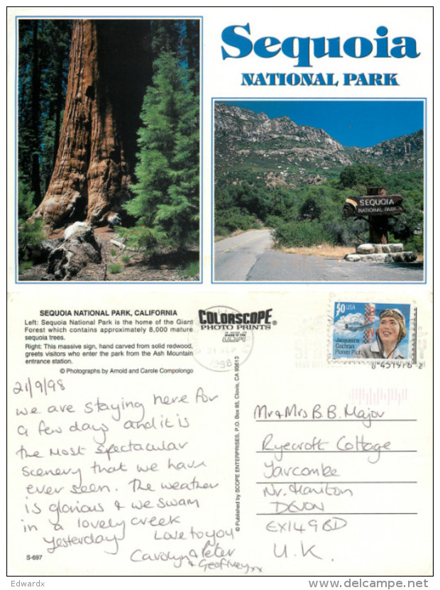 Sequoia National Park, California, United States US Postcard Posted 1998 Stamp - Autres & Non Classés