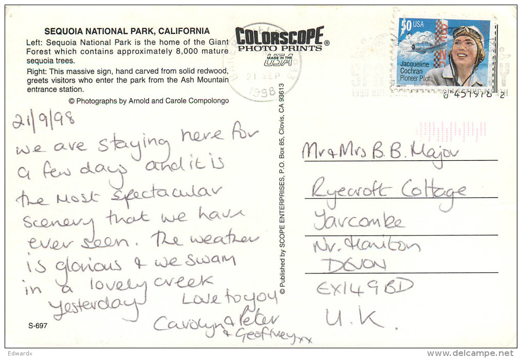 Sequoia National Park, California, United States US Postcard Posted 1998 Stamp - Autres & Non Classés