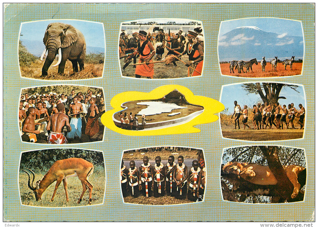 Native People, Wild Animals, Kenya Postcard Posted 1972 Stamp - Kenya