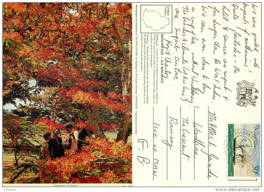 Flamboyant Tree, Mauritius Postcard Posted 1976 Stamp - Mauritius