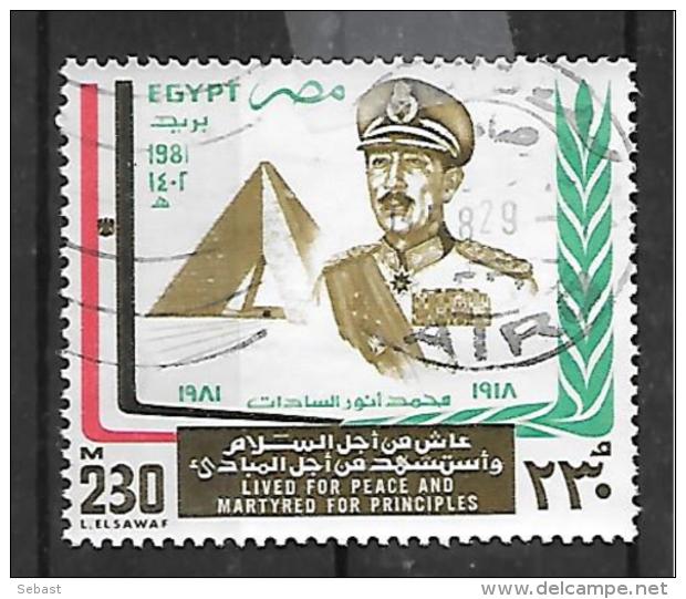 TIMBRE OBLITERE D'EGYPTE DE 1981 N° MICHEL 1389 - Oblitérés