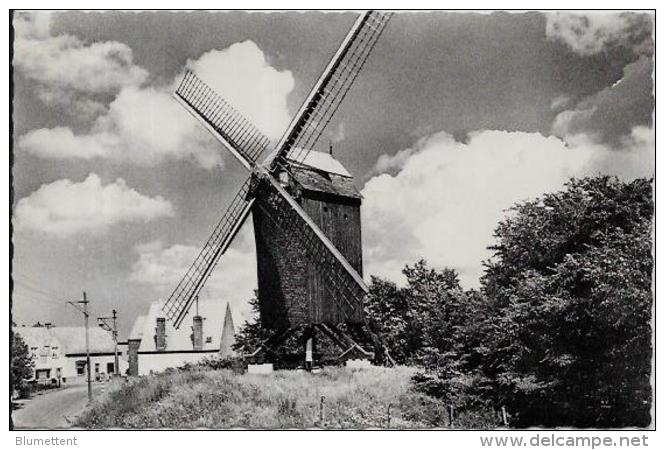 CPA Belgique Belgie Moulin à Vent Circulé Calf - Andere & Zonder Classificatie