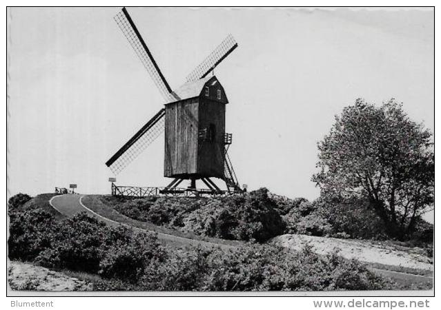 CPA Belgique Belgie Moulin à Vent Non Circulé Kust - Andere & Zonder Classificatie