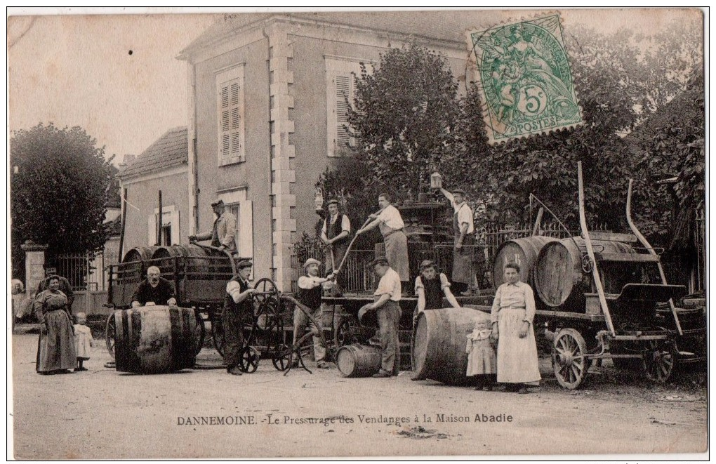 Dannemoine Le Pressurage Des Vendanges De La Maison Abadie - Autres & Non Classés