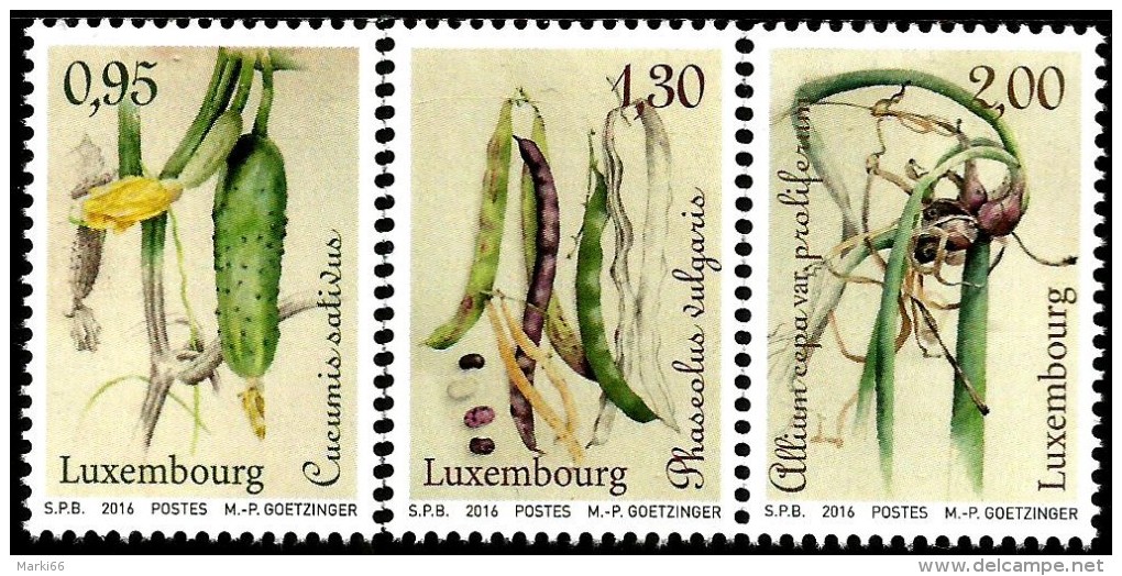 Luxembourg - 2016 - Vegetables Of Yesteryear - Cucumber, Beans, Onion - Mint Stamp Set - Ungebraucht