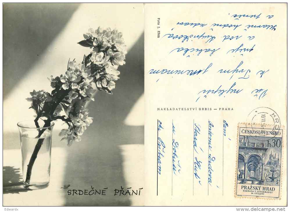 Flowers, Czech Republic RP Postcard Posted 1966 Stamp - Czech Republic