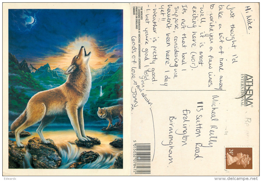 Howard Robinson, Wolves, Art Painting Postcard Posted 1992 Stamp - Paintings