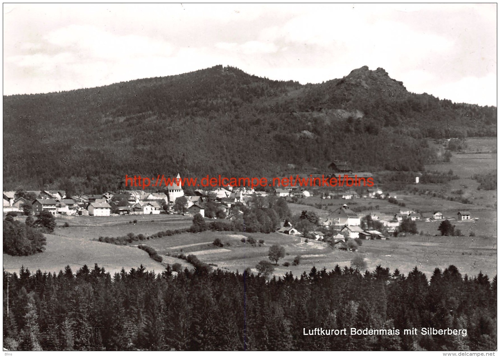 Luftkurort Bodenmais Mit Silberberg - Bodenmais