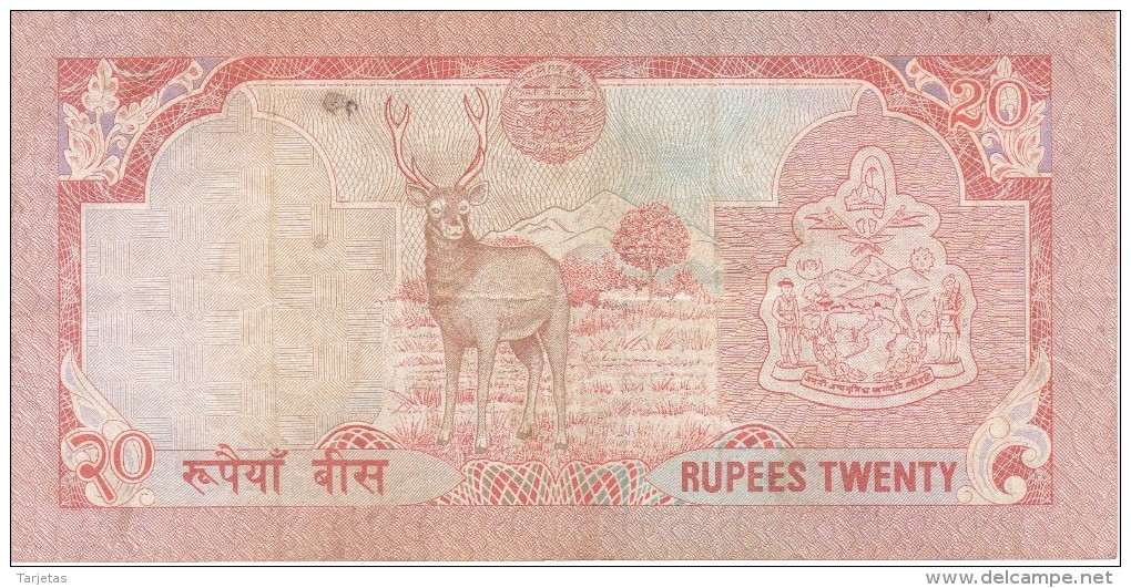 BILLETE DE NEPAL DE 20 RUPEES  (BANKNOTE) CIERVO-DEER - Nepal