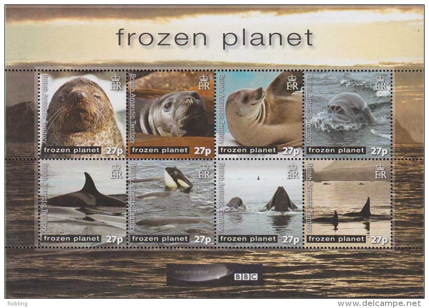 Antarctic.Britsch Antarctic.Territory.2011.Sheet.8v.Frozen Planet.MNH.22215 - Andere & Zonder Classificatie