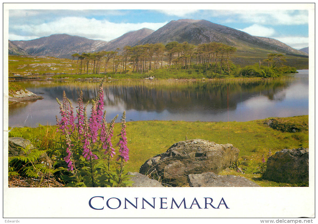 Connemara, Galway, Ireland Postcard Posted 2007 Stamp - Otros & Sin Clasificación