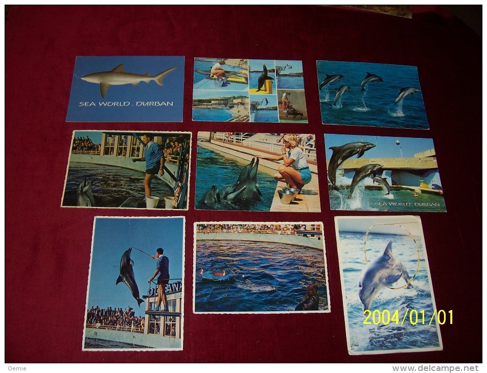 LOT DE 9 CARTES   POSTALE SUR  LE THEME DES  DAUPHINS - Dauphins