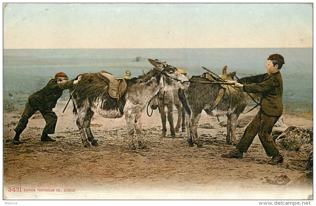 ÂNES ET ENFANTS.(carte Suisse) - Anes