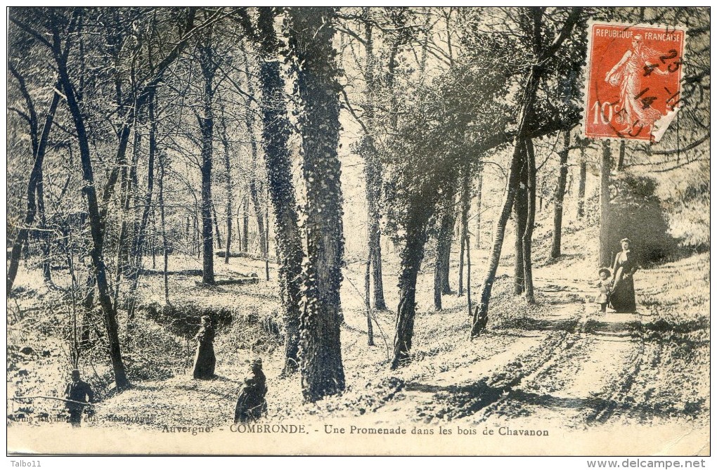 Combronde - Une Promenade Dans Les Bois De Chavanon - Combronde