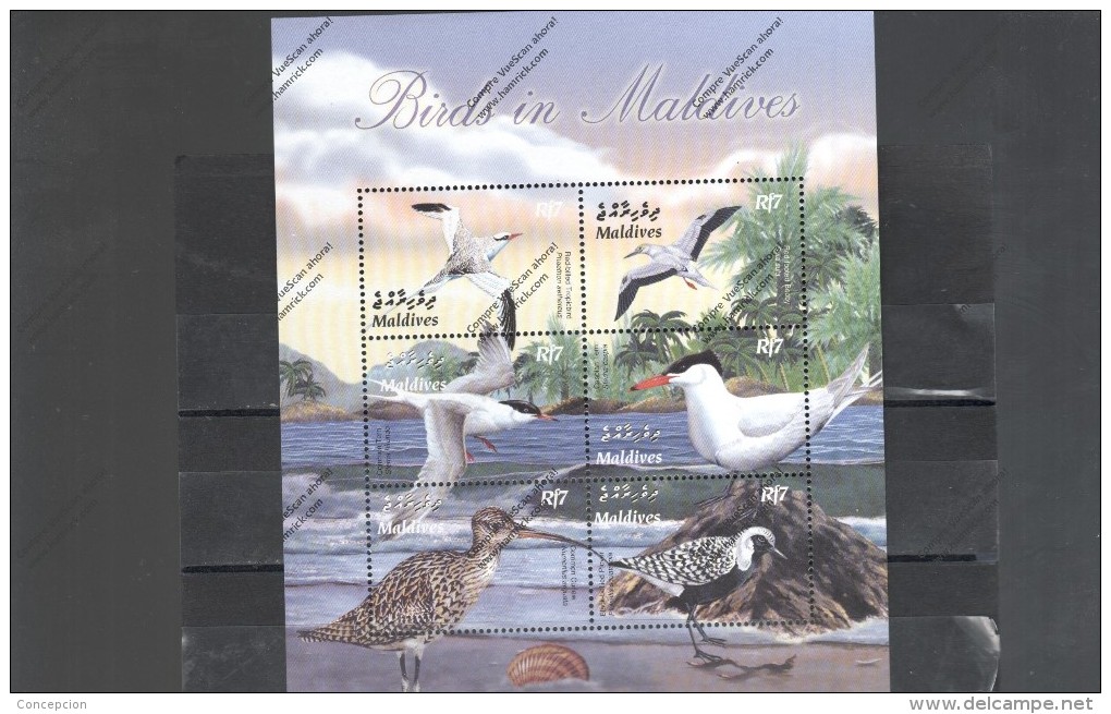 MALDIVES Nº 3500 AL 3505 - Albatrosse & Sturmvögel