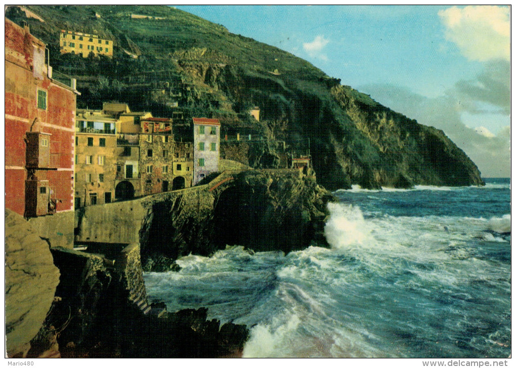 LE CINQUE  TERRE    RIOMAGGIORE    MAREGGIATA       (VIAGGIATA) - Altri & Non Classificati