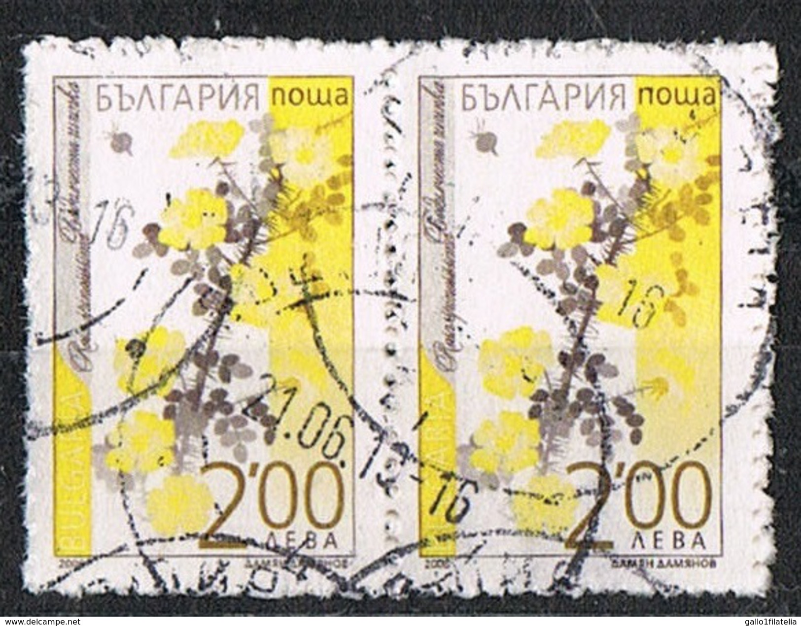 2006 - BULGARIA - FIORI / FLOWERS. USATO - Used Stamps