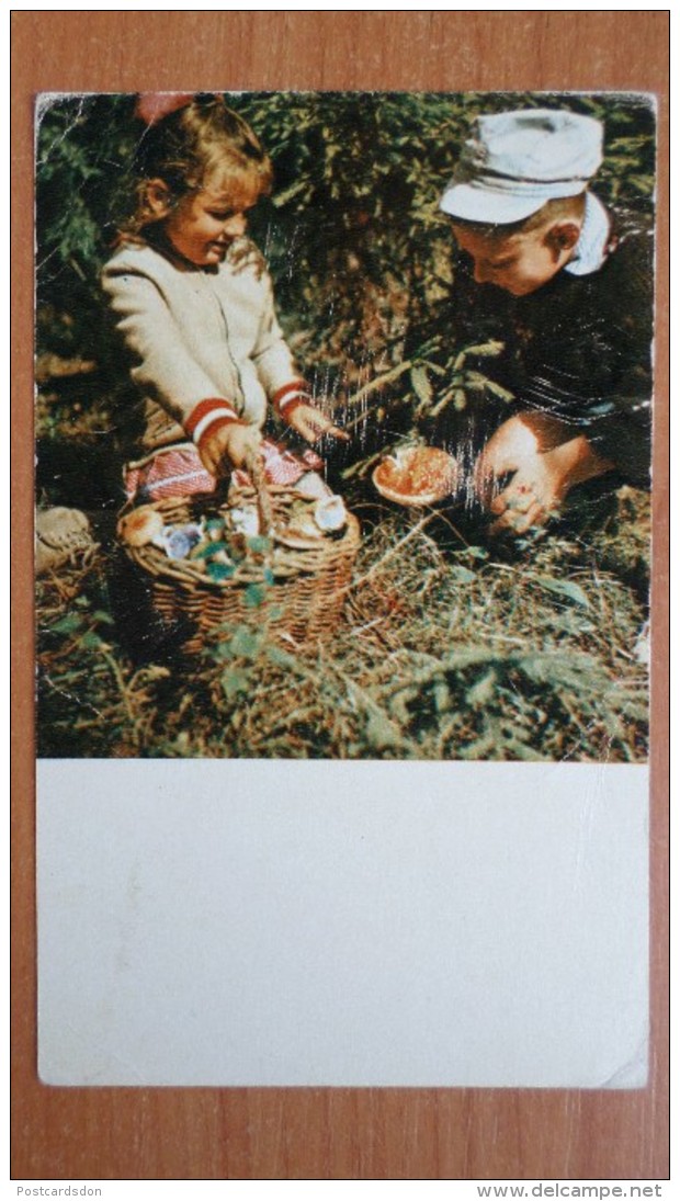 PICKING MUSHROOMS - OLD Soviet PC 1969 -  Mushroom - Champignon - Paddestoelen