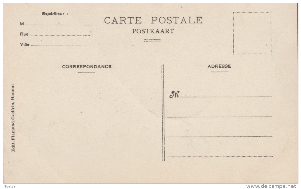 Hannut - Propriété De Monsieur Seny-Poucet  ( Voir Verso ) - Hannut