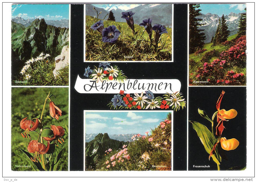 Deutschland - Alpenblumen - Flower - Blumen - Nice Bird Stamp - Sonthofen