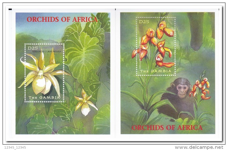 Gambia 2001, Postfris MNH, Flowers, Orchids, Monkey - Gambia (1965-...)