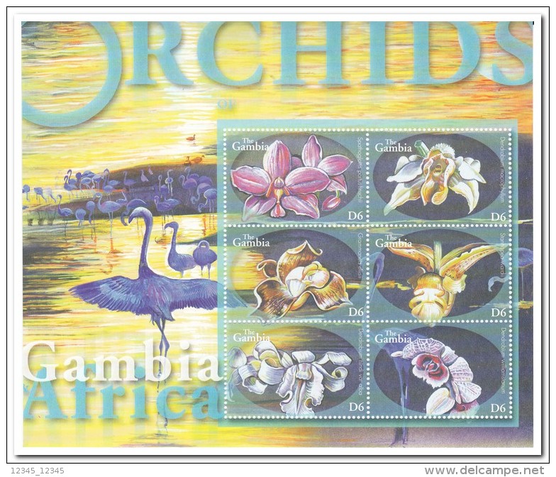 Gambia 2001, Postfris MNH, Flowers, Orchids, Birds - Gambia (1965-...)