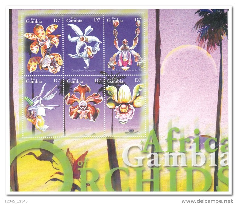 Gambia 2001, Postfris MNH, Flowers, Orchids, Birds - Gambia (1965-...)