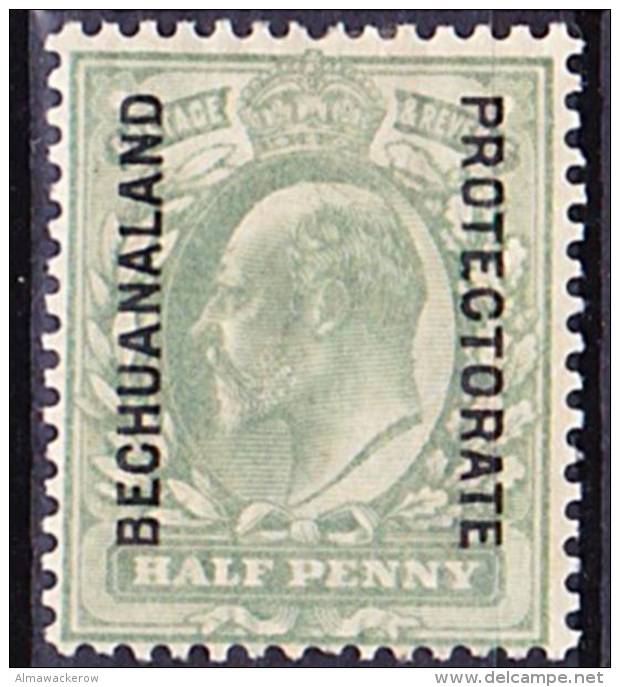 2016-0618 Bechuanaland Protectorate Mi 54 MH * - 1885-1964 Protectoraat Van Bechuanaland