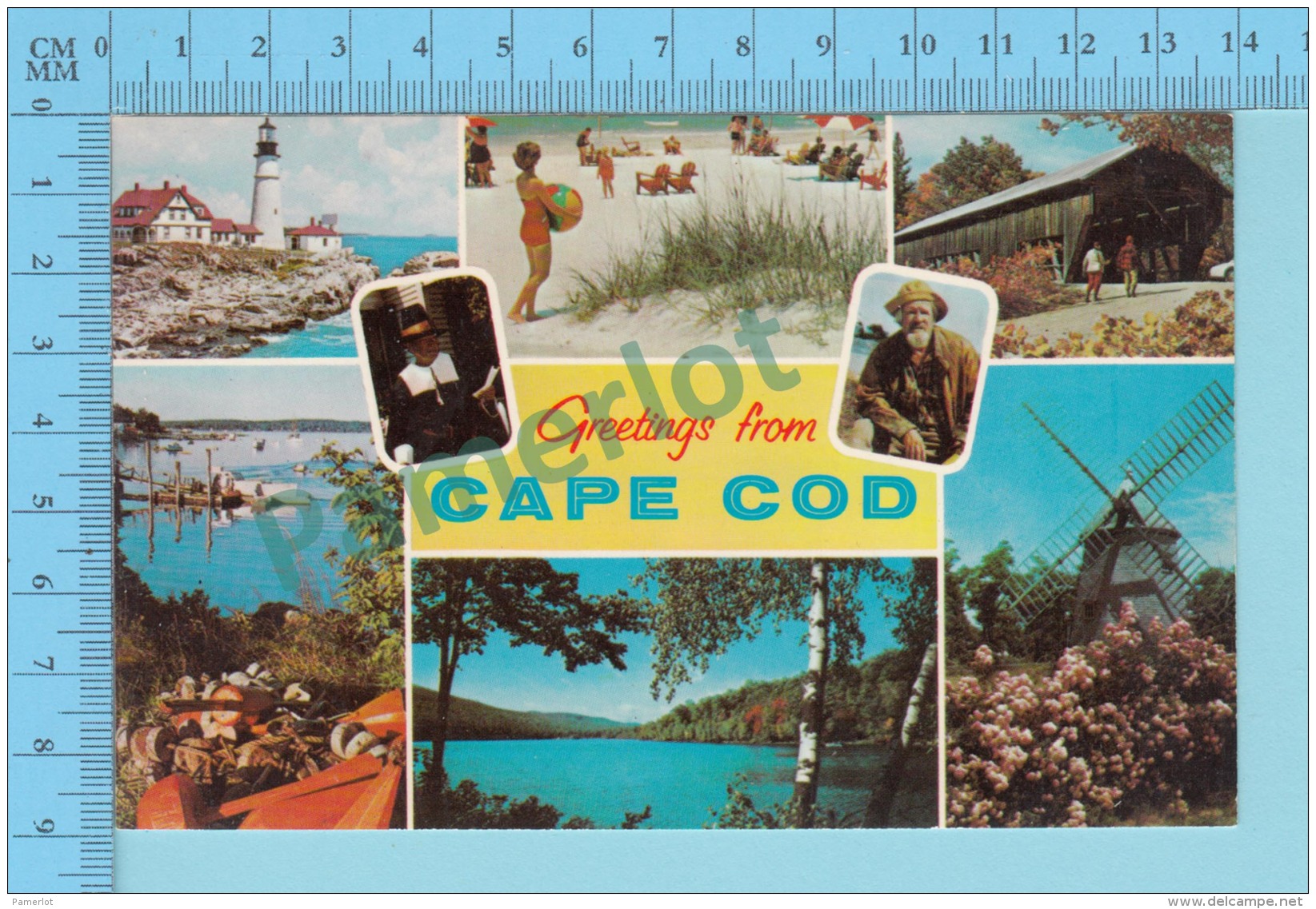 Greetings From - Cape Cod  , Multiview - USA - 2 Scans - Souvenir De...