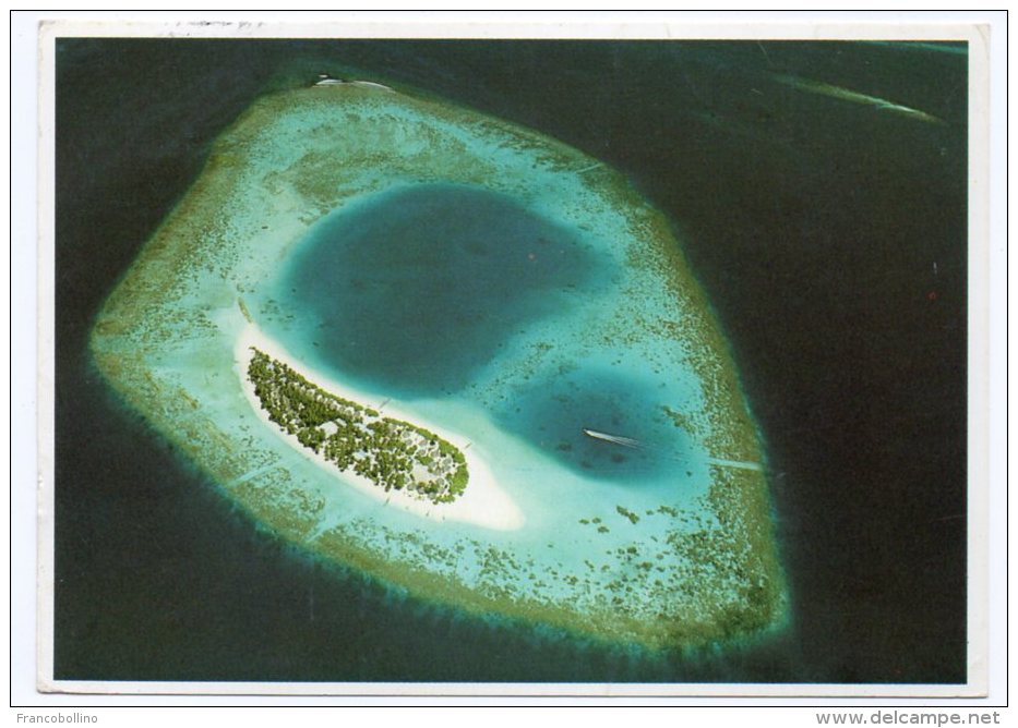 MALDIVES - NACATCHA (PHOTO MICHAEL FRIEDEL No 23/63) / THEMATIC STAMP-FLOWERS / ROSE - Maldive