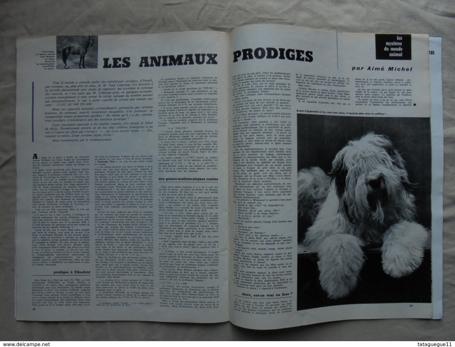 Ancien - Revue La vie des bêtes et l'ami des bêtes - N° 44 Mars 1962 -