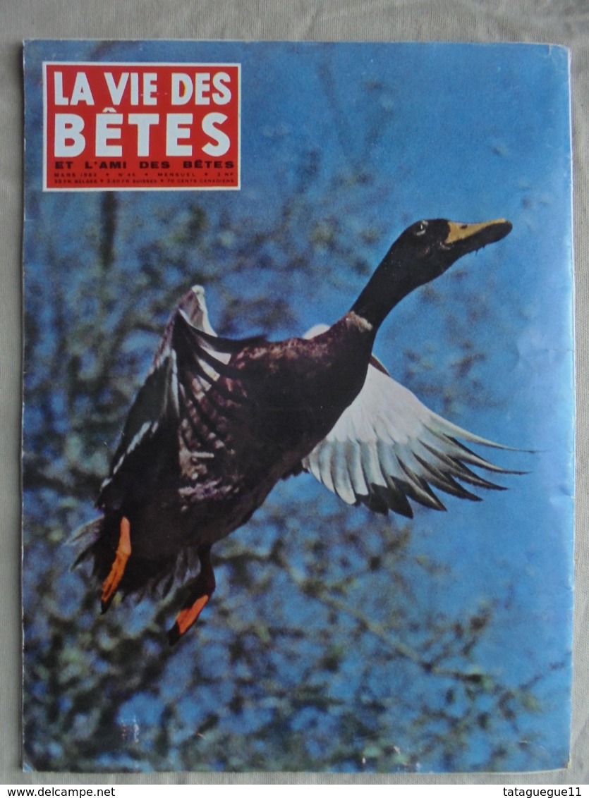 Ancien - Revue La vie des bêtes et l'ami des bêtes - N° 44 Mars 1962 -