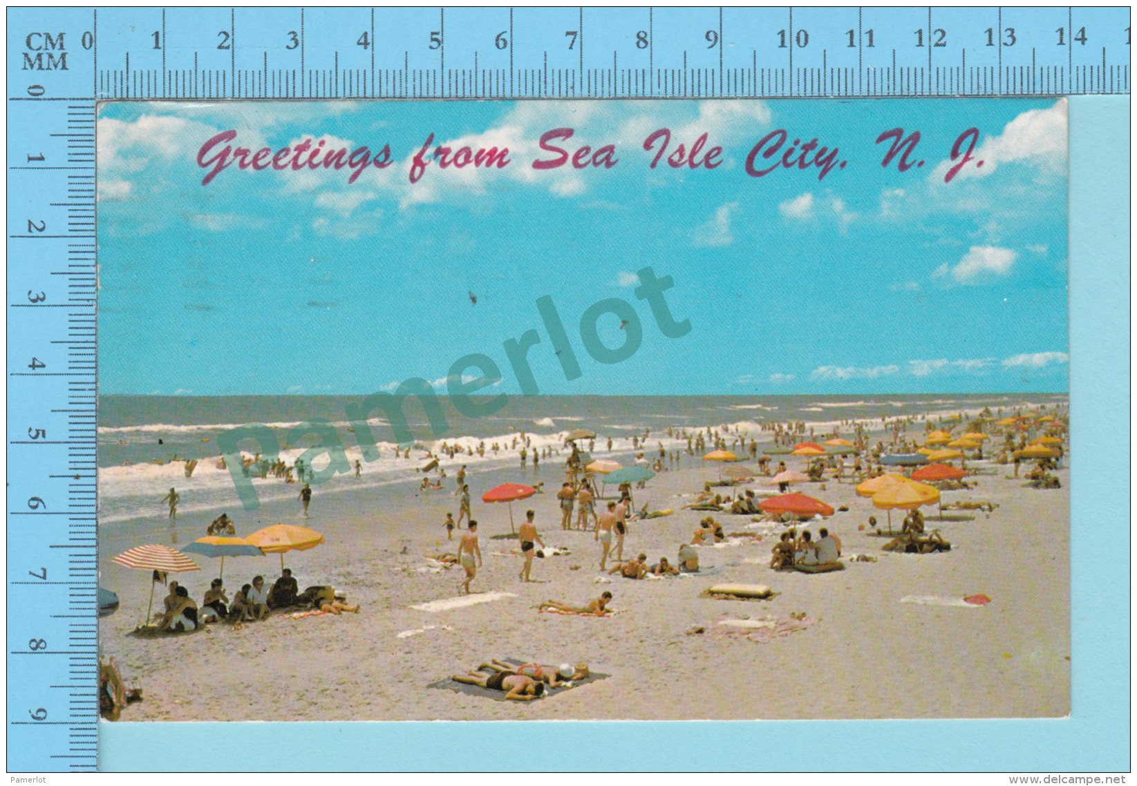 Greetings From - Sea Isle City - New Jersey USA - 2 Scans - Souvenir De...