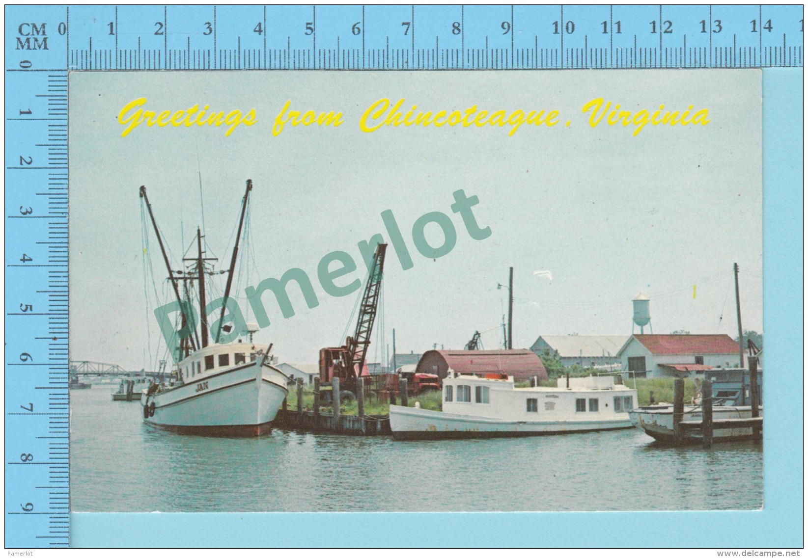 Greetings From - Chincoteaque - Virginia USA - 2 Scans - Souvenir De...