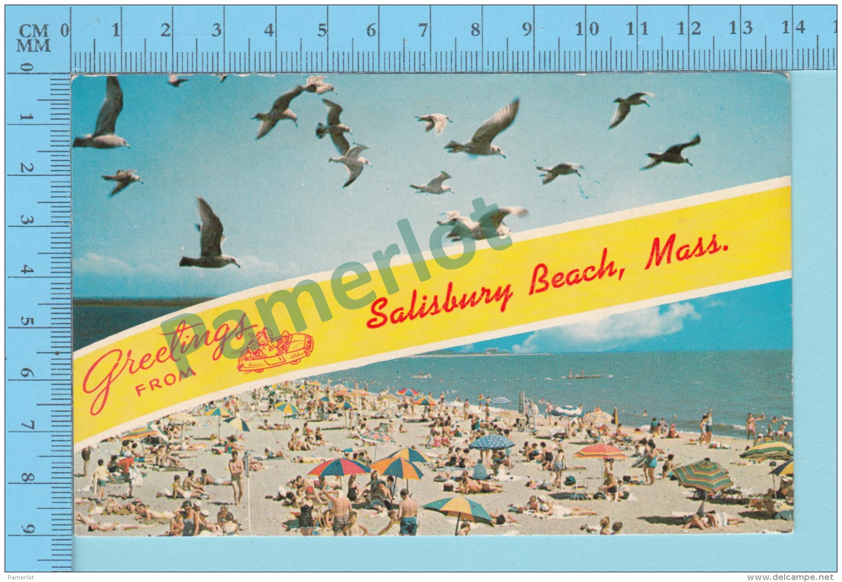 Greetings From - Salisbury Beach , Multiview   - Massachusetts USA - 2 Scans - Souvenir De...