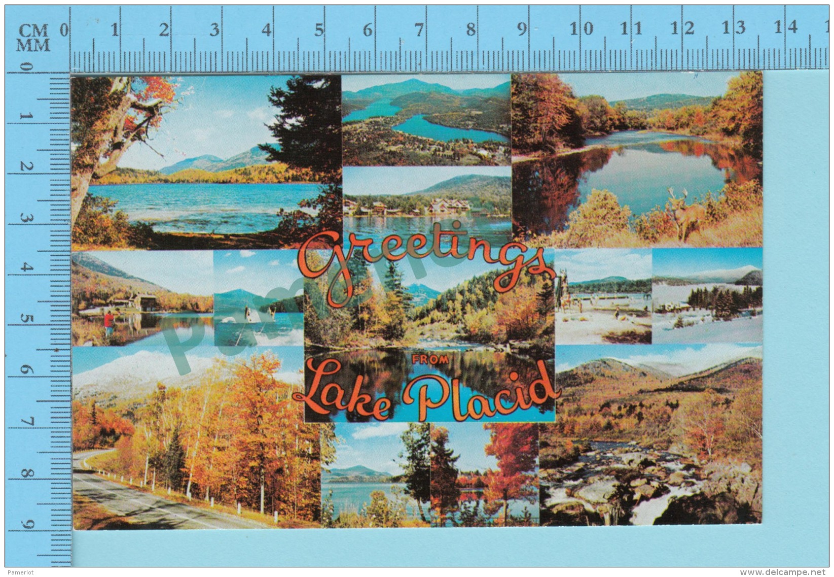 Greetings From - Lake Placid  , Multiview   - New York USA - 2 Scans - Souvenir De...