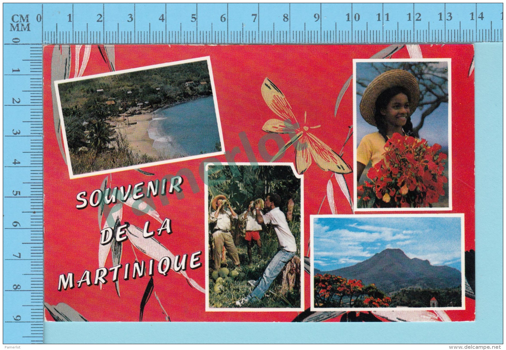 Souvenir De - La  Martinique  , Multiview   -Martinique - 2 Scans - Souvenir De...