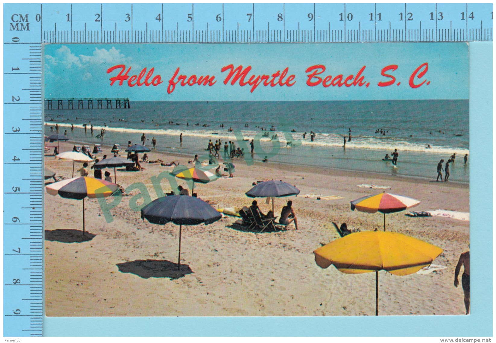 Hello From -  Myrtle Beach  -  South Carolina USA - 2 Scans - Souvenir De...