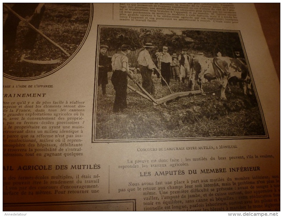 1917 LPDF :Joffre;Français & Serbes à Veliselo;Mutilés au travail agricole à Montluel;Salon des Armées;St-Nicolas russe