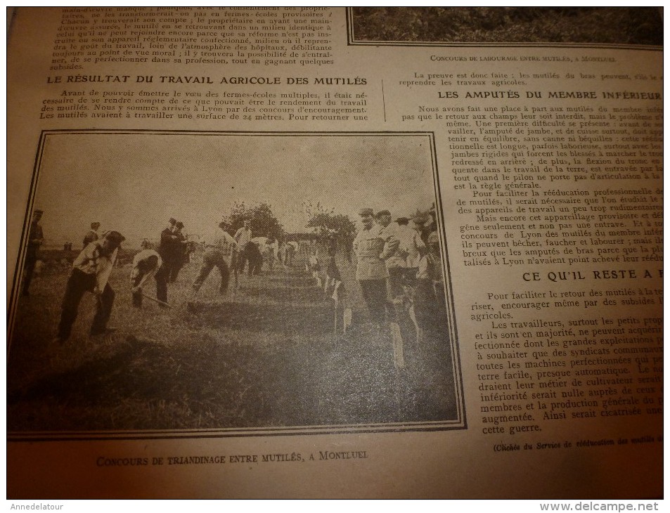 1917 LPDF :Joffre;Français & Serbes à Veliselo;Mutilés au travail agricole à Montluel;Salon des Armées;St-Nicolas russe