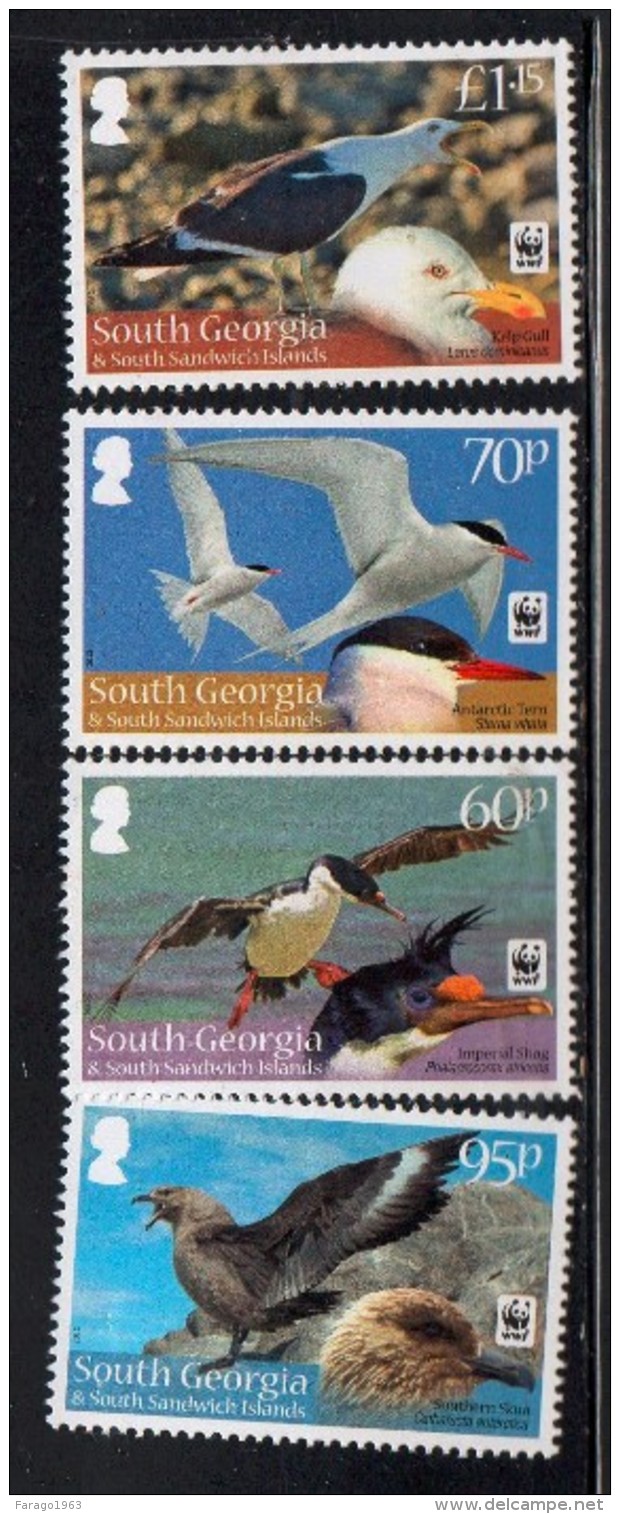 2012 South Georgia WWF Birds White Frame  Complete Set Of 4 MNH - Georgias Del Sur (Islas)