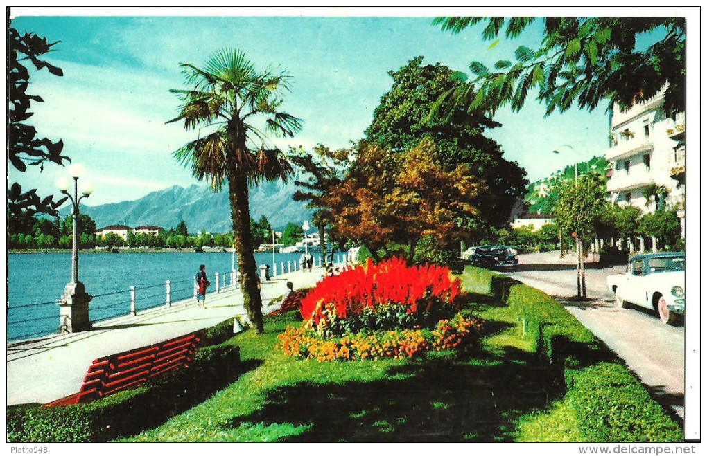 Locarno (Tessin, Svizzera) Muralto, Lungolago E Giardini, Jardins, Gardens - Muralto