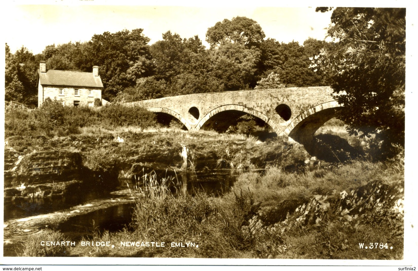 DYFED - NEWCASTLE EMLYN - CENARTH BRIDGE RP  Dyf276 - Cardiganshire